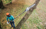 Stihl HT 56 C-E Pole Saw