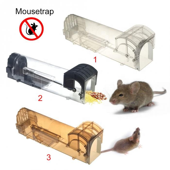 Humane Non-Lethal Mouse Trap in Beech Wood and Metal Catch and Release -  THE BEACH PLUM COMPANY