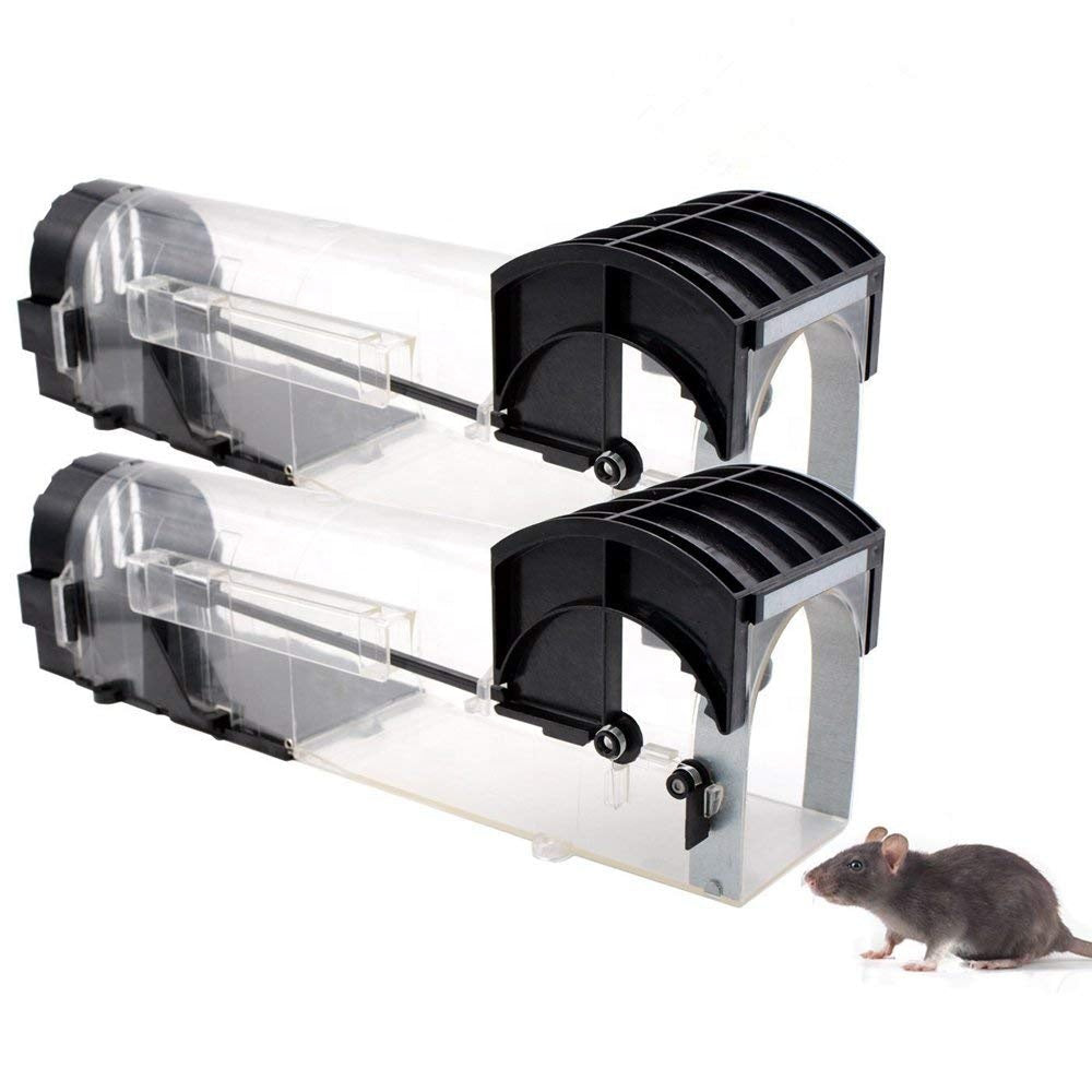 Worker Asks Boss to Use Humane Mouse Traps but Company Opts for Cruel Snap  Traps - One Green Planet
